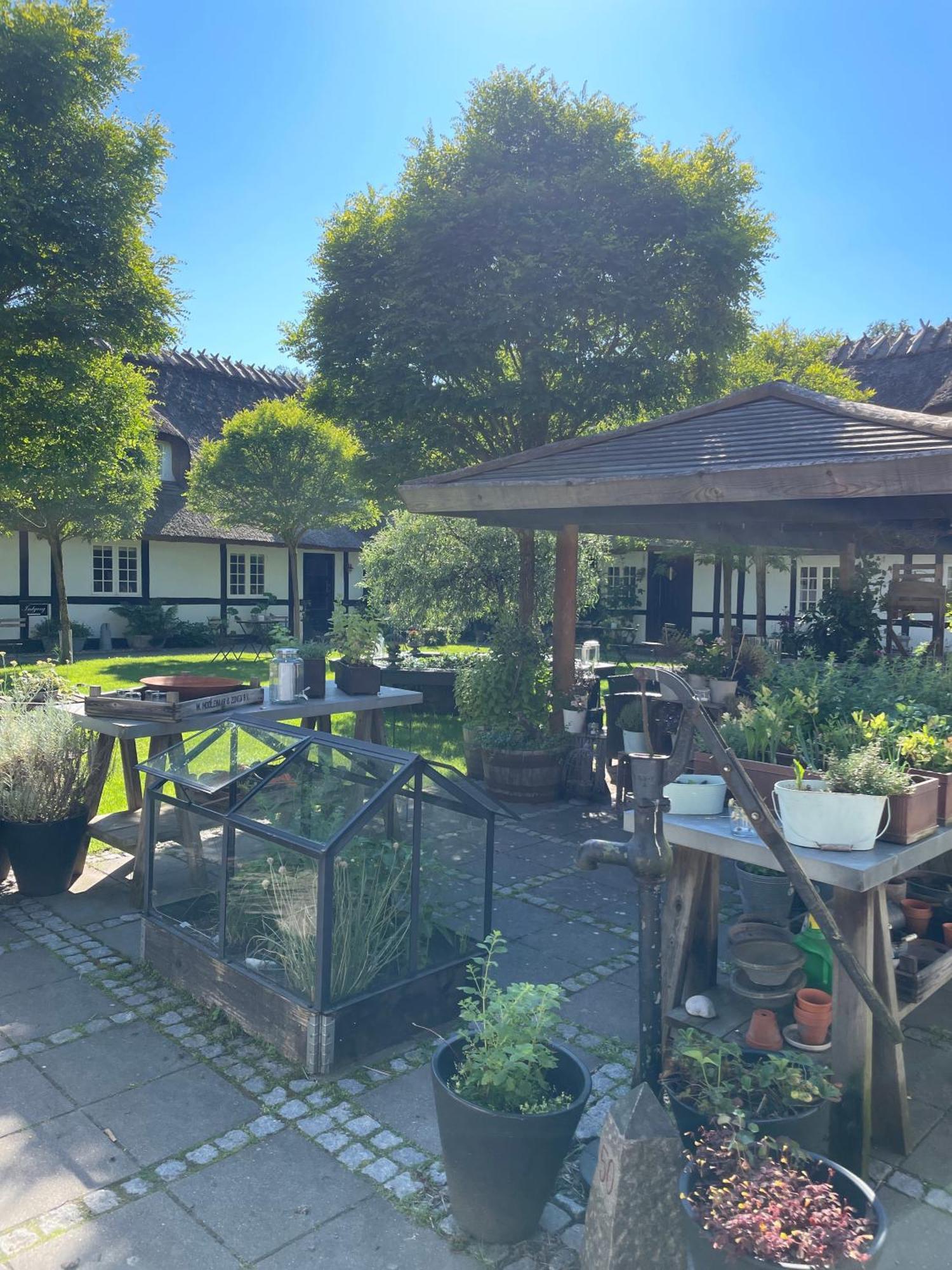 Bed and Breakfast Slangerupgaard Fakse Ladeplads Exterior foto